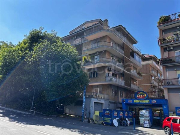 negozio in vendita a Roma in zona Monte Sacro/Talenti