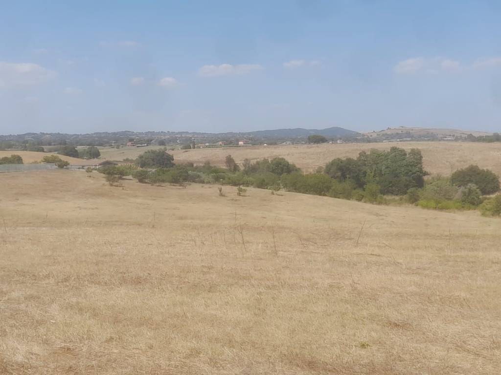 terreno agricolo in vendita a Roma in zona Olgiata