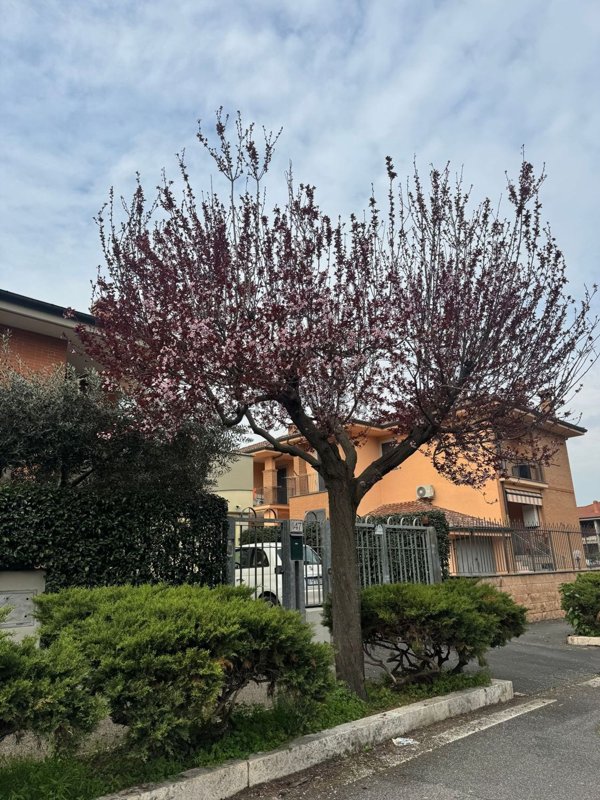 appartamento in vendita a Roma in zona Torre Angela