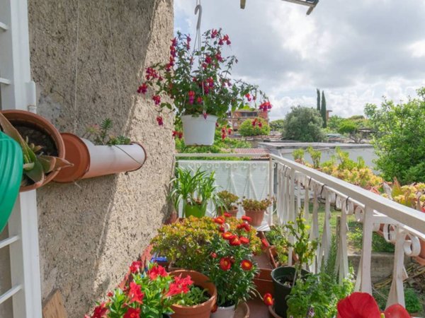 appartamento in vendita a Roma in zona Massimina/Casal Lumbroso