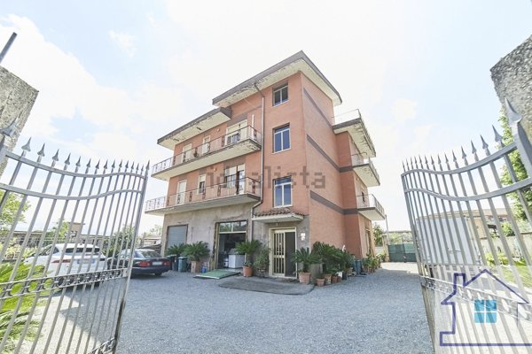 pentavano in vendita a Roma in zona Finocchio