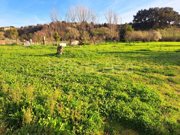 terreno agricolo in vendita a Roma in zona La Pisana