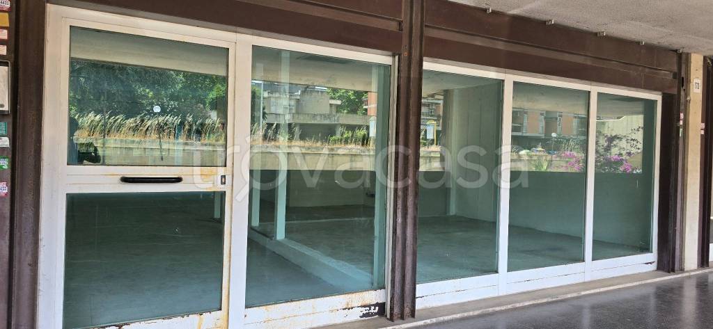 negozio in vendita a Roma in zona Spinaceto