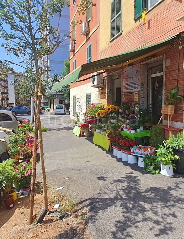 negozio in vendita a Roma