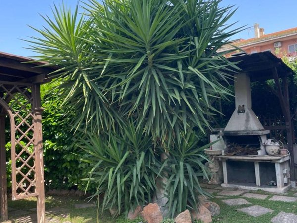 appartamento in vendita a Roma in zona Giuliano Dalmata