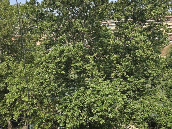appartamento in vendita a Roma in zona Testaccio