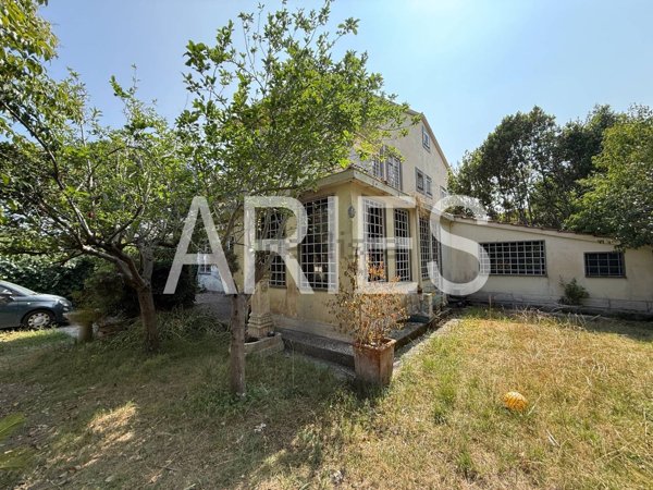 pentavano in vendita a Roma in zona Casal Palocco