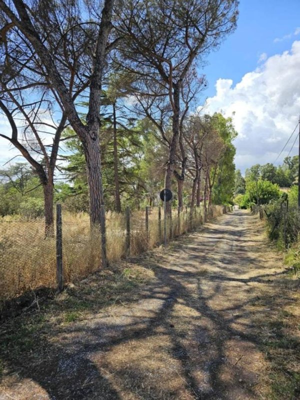 terreno agricolo in vendita a Roma in zona Castel di Guido
