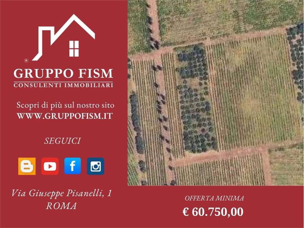 terreno agricolo in vendita a Roma in zona Finocchio