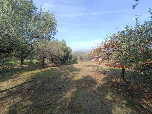 terreno agricolo in vendita a Roma in zona Finocchio