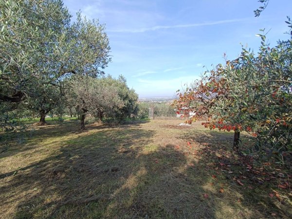 terreno agricolo in vendita a Roma in zona Finocchio