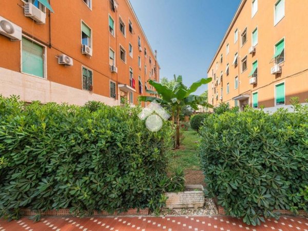 appartamento in vendita a Roma in zona Monte Sacro/Talenti