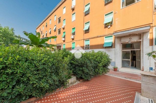 appartamento in vendita a Roma in zona Monte Sacro/Talenti