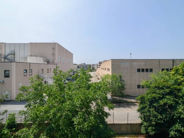 appartamento in vendita a Roma in zona Torre Maura