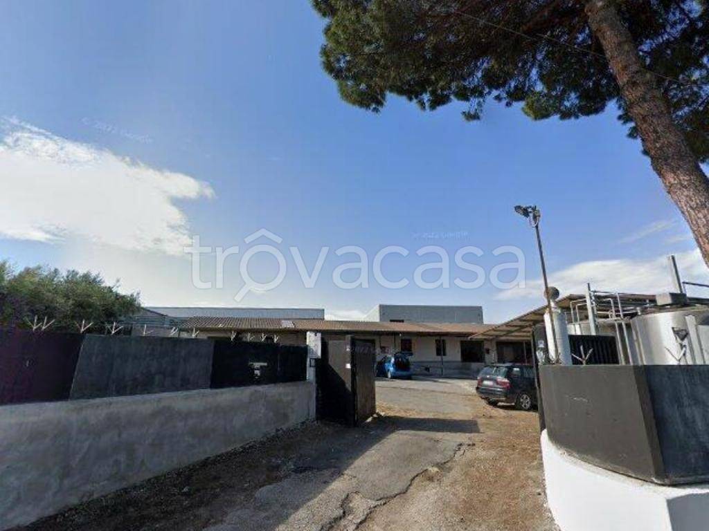 locale commerciale in vendita a Roma in zona Settecamini