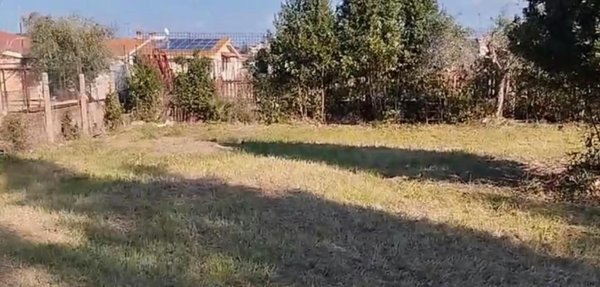 negozio in vendita a Roma in zona Trigoria