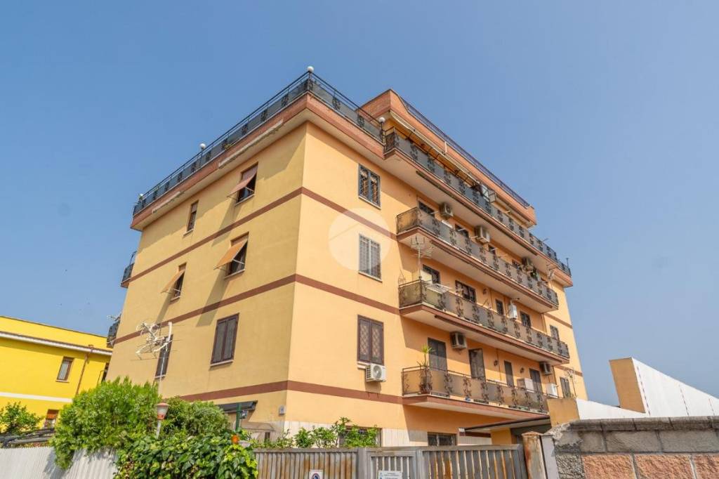 appartamento in vendita a Roma in zona Tor Vergata/Torrenova