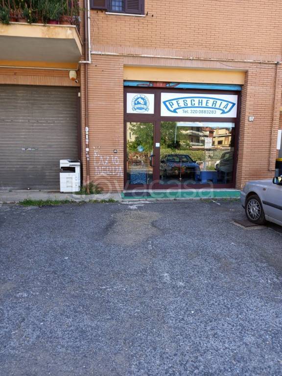 negozio in vendita a Roma in zona Ottavia