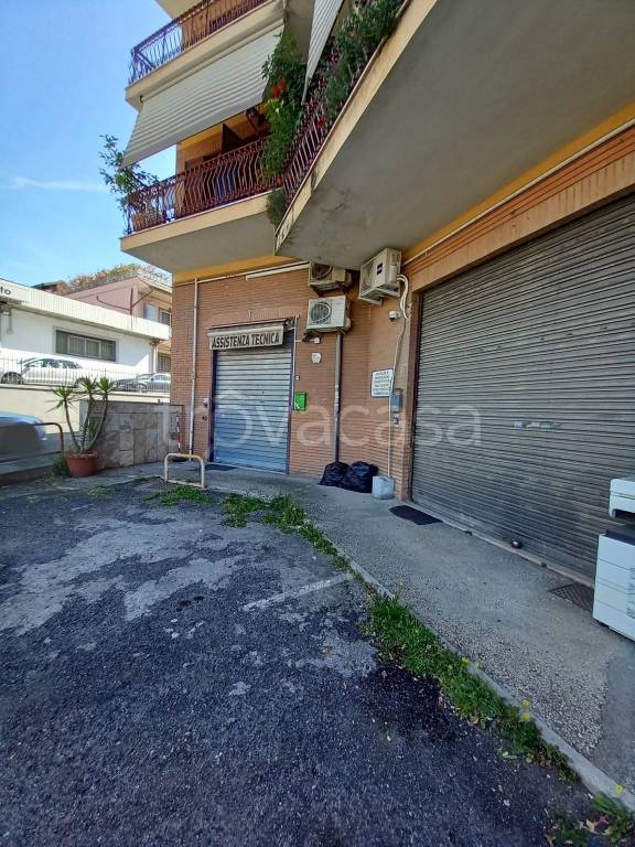 negozio in vendita a Roma in zona Ottavia