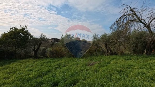 terreno agricolo in vendita a Roma in zona Olgiata