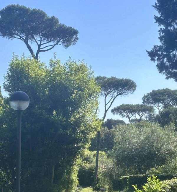 appartamento in vendita a Roma in zona Della Vittoria