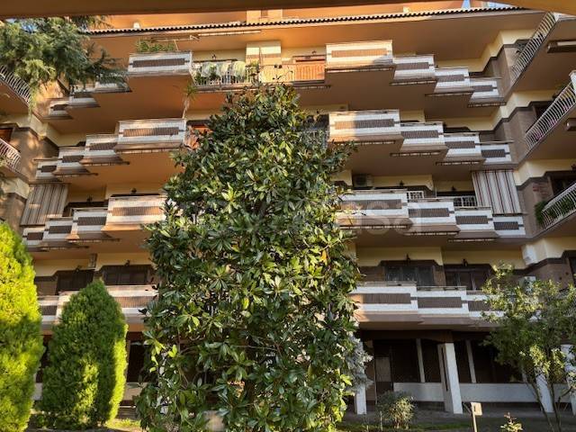 appartamento in vendita a Roma in zona Monte Sacro/Talenti