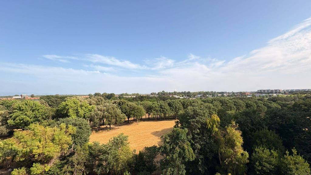 appartamento in vendita a Roma in zona Spinaceto