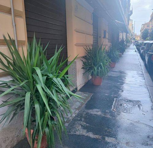 negozio in vendita a Roma in zona Salario