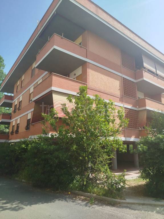 appartamento in vendita a Roma in zona Spinaceto