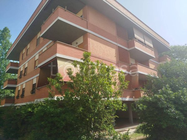 appartamento in vendita a Roma in zona Spinaceto