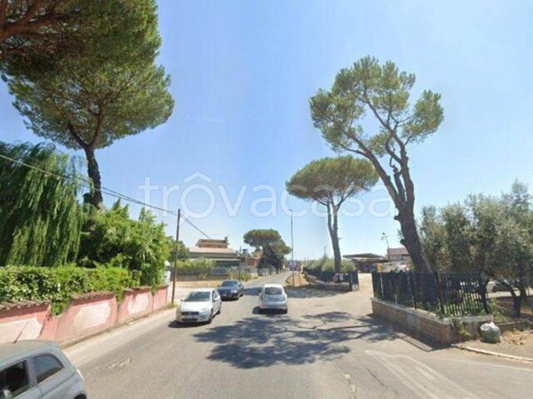 terreno agricolo in vendita a Roma in zona Tor Vergata/Torrenova