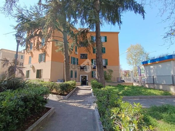 appartamento in vendita a Roma in zona Monte Sacro/Talenti