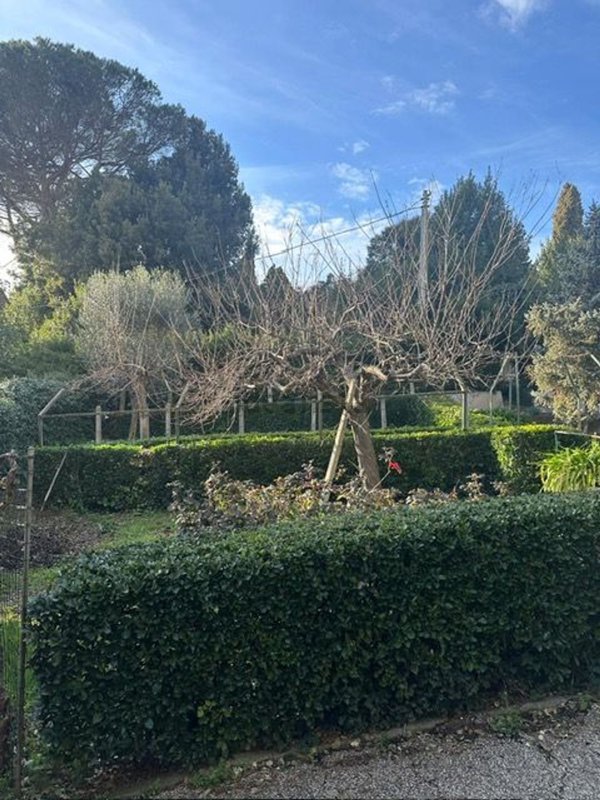 casa indipendente in vendita a Roma in zona Prima Porta