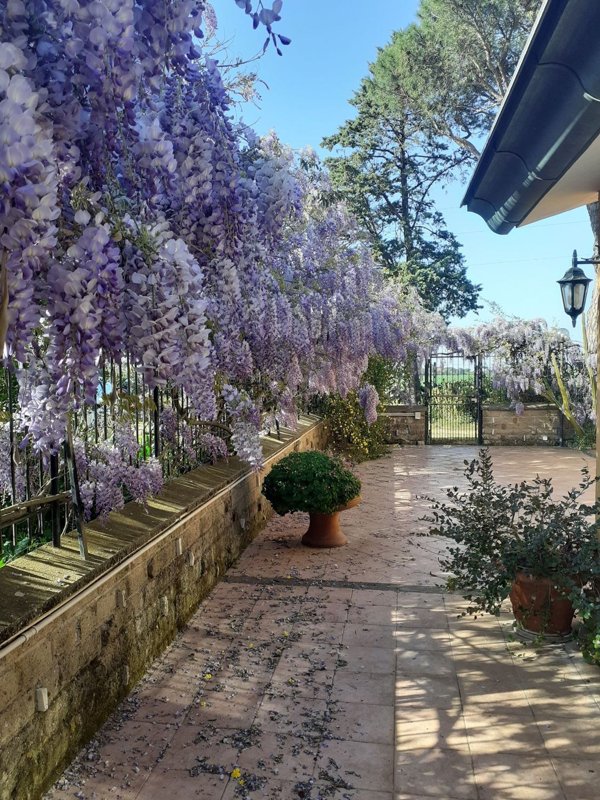 casa indipendente in vendita a Roma in zona Castel di Leva
