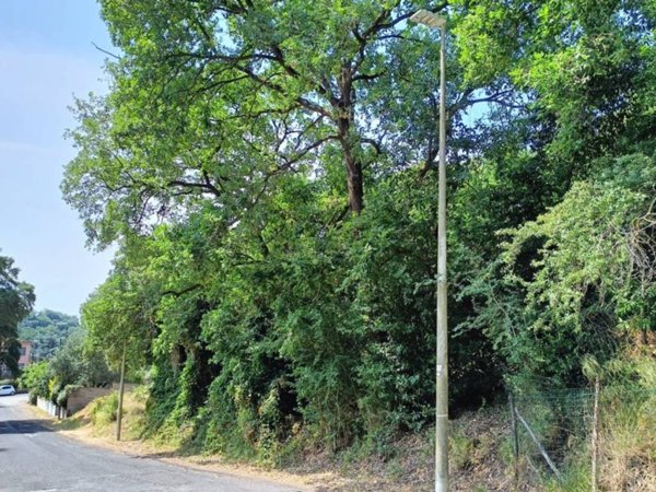 terreno agricolo in vendita a Roma in zona Olgiata