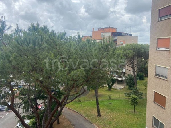 appartamento in vendita a Roma in zona Primavalle