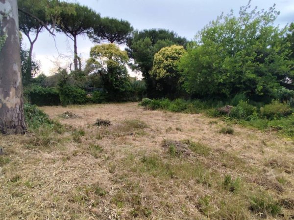 terreno agricolo in vendita a Roma in zona Acilia