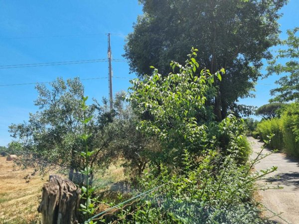 terreno agricolo in vendita a Roma in zona Appio Pignatelli