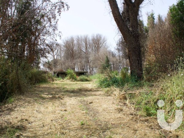 terreno agricolo in vendita a Roma in zona Olgiata