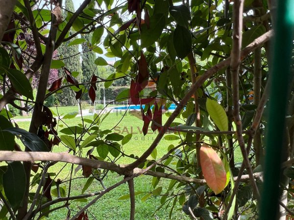 appartamento in vendita a Roma in zona Casal Boccone