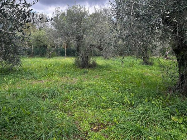 terreno agricolo in vendita a Roma in zona Trigoria