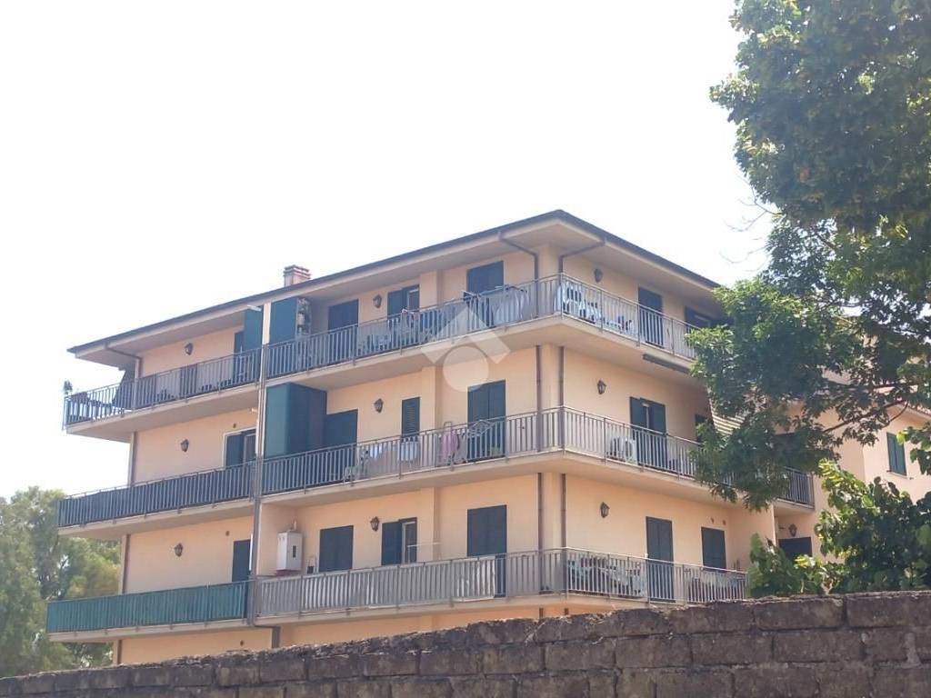 appartamento in vendita a Roma in zona Tor Vergata/Torrenova