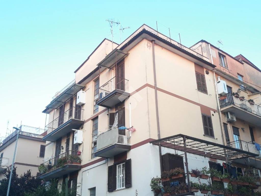 appartamento in vendita a Roma in zona Tor Vergata/Torrenova
