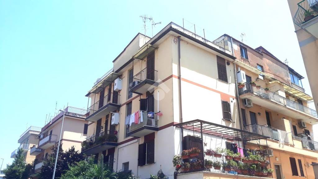 appartamento in vendita a Roma in zona Tor Vergata/Torrenova