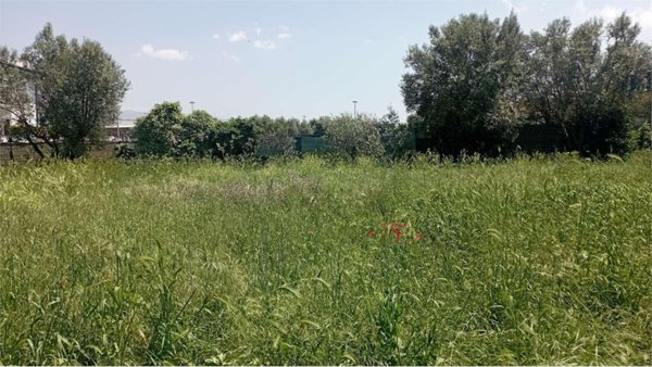 terreno agricolo in vendita a Roma