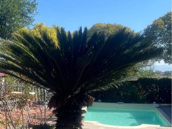 casa indipendente in vendita a Roma in zona Casal Morena