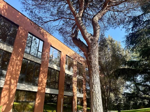 ufficio in vendita a Roma in zona Labaro