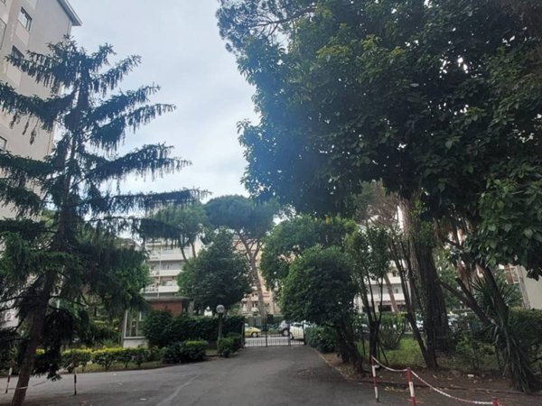 appartamento in vendita a Roma in zona Monte Sacro/Talenti