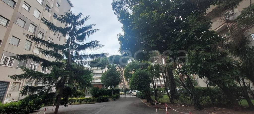 appartamento in vendita a Roma in zona Monte Sacro/Talenti