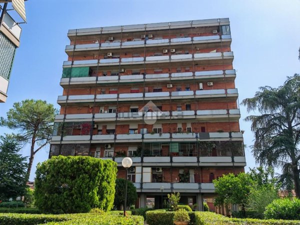 appartamento in vendita a Roma in zona Torre Spaccata